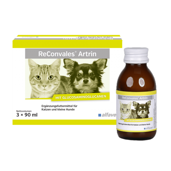 Supliment care susține metabolismul articular în osteoartrita, caini si pisici, Reconvales ARTRIN, Alfavet, 90 ml Supliment care susține metabolismul articular în osteoartrita, caini si pisici, Reconvales ARTRIN, Alfavet, 90 ml