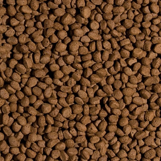 TROPICAL-Fish-KOI Wheat germ & garlic pellet L- 7KG