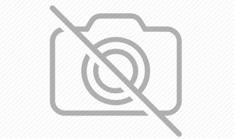 Diferenta dintre un catel de la o canisa si cel de la ferme de catelusi