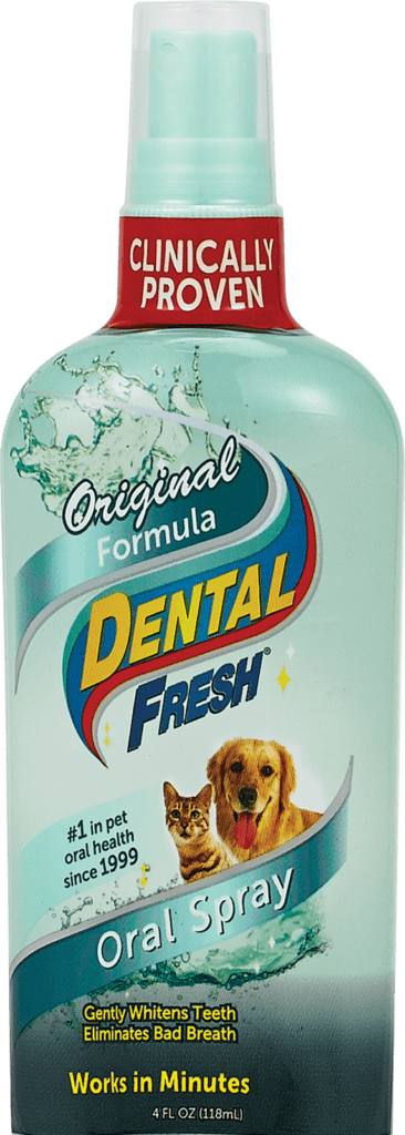 Dental Fresh ORIGINAL FORMULA SPRAY, Synergy Labs, 118 ml