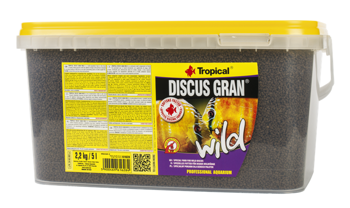 DISCUS GRAN WILD Tropical Fish, 10L/ 4.4 KG