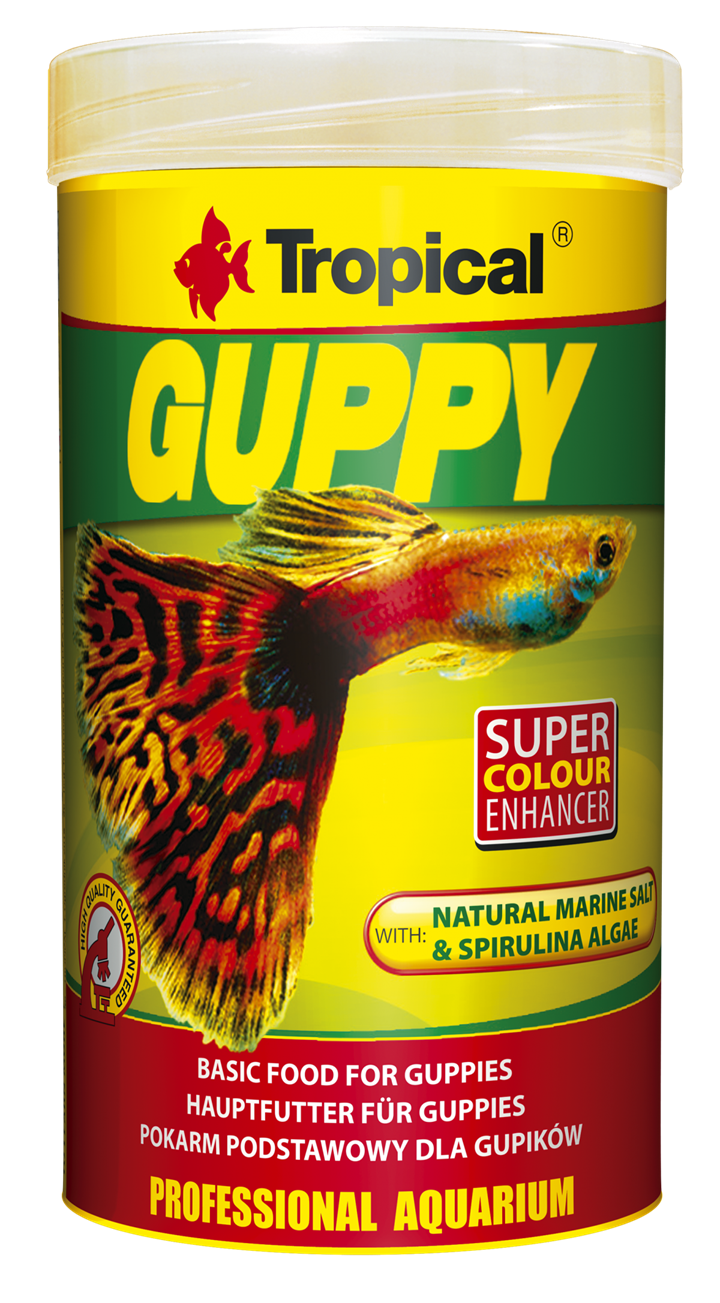GUPPY Tropical Fish, 100ml/ 20g