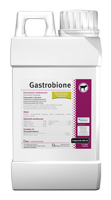 GASTROBIONE- 500 ml