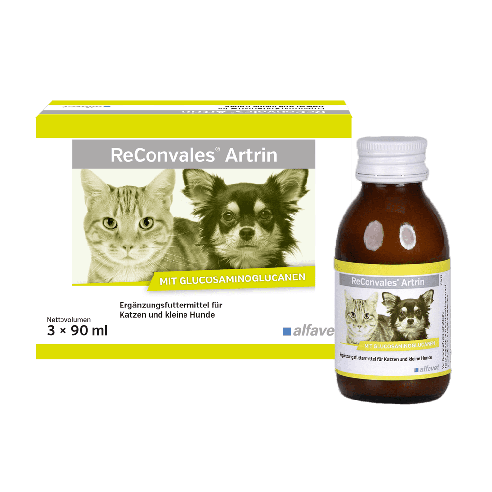 Supliment care susține metabolismul articular în osteoartrita, caini si pisici, Reconvales ARTRIN, Alfavet, 90 ml